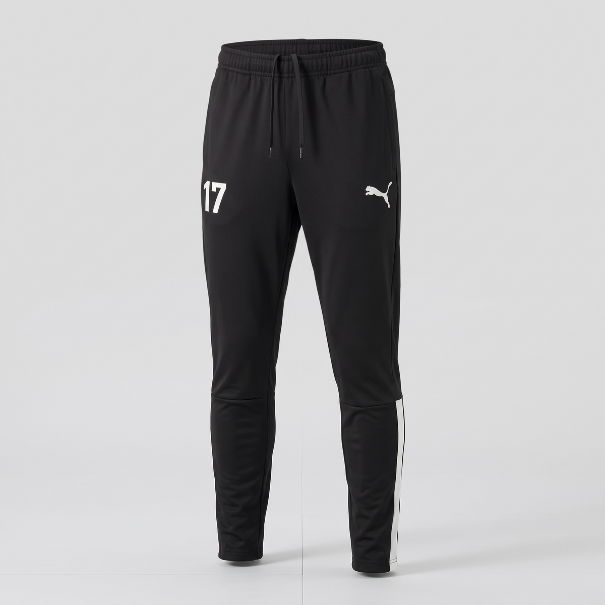 Pants Puma TeamLiga Pro